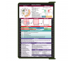 WhiteCoat Clipboard® - Army Green Medical Edition